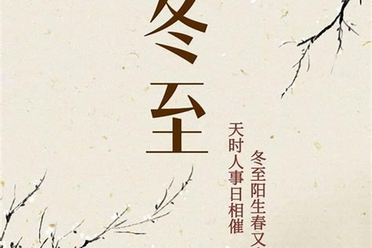 2025属猪的全年运势 2025年属猪人运势如何