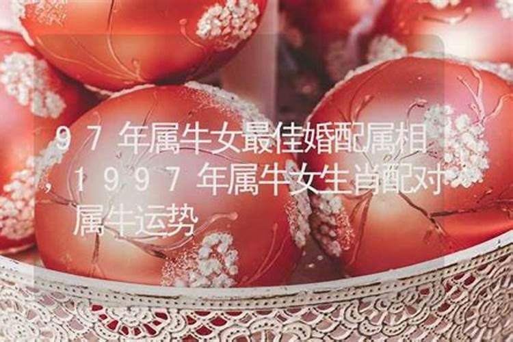 1997年属牛女士[28岁]2025年运势分析,逐月助你应对挑战