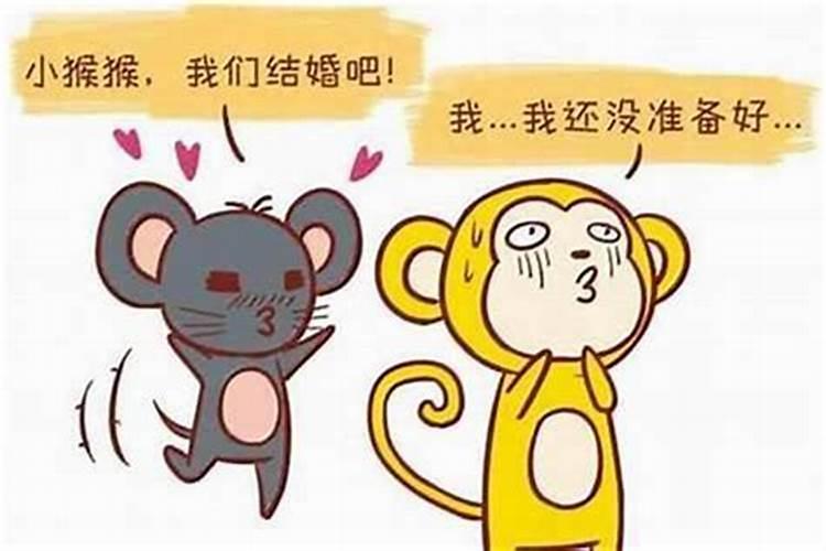 属猴女和属猪男的婚姻如何？相配吗？