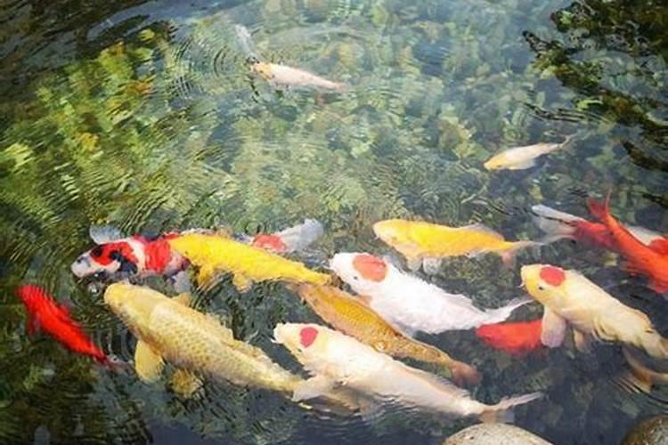三命通会 不同时辰出生的壬子日柱命运解读