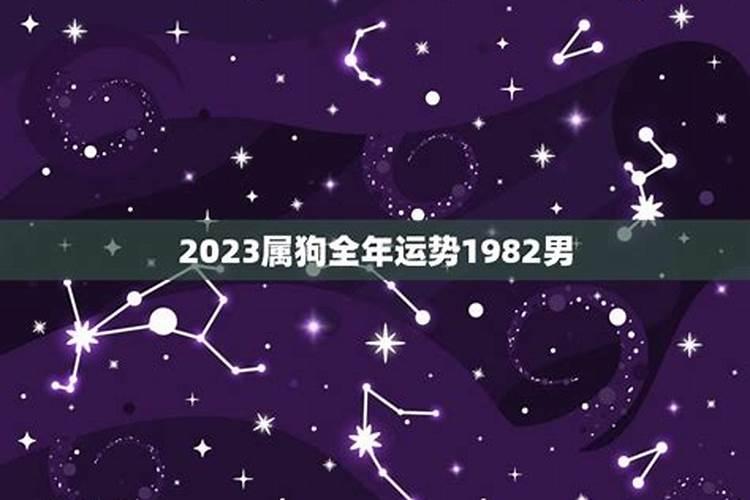 2026年运势12生肖运势详解