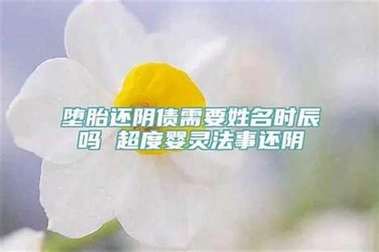 1985在2025每月运气