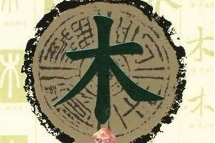 梦见三只乌龟打架
