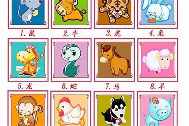 盘点一下十二生肖女的好色指数？