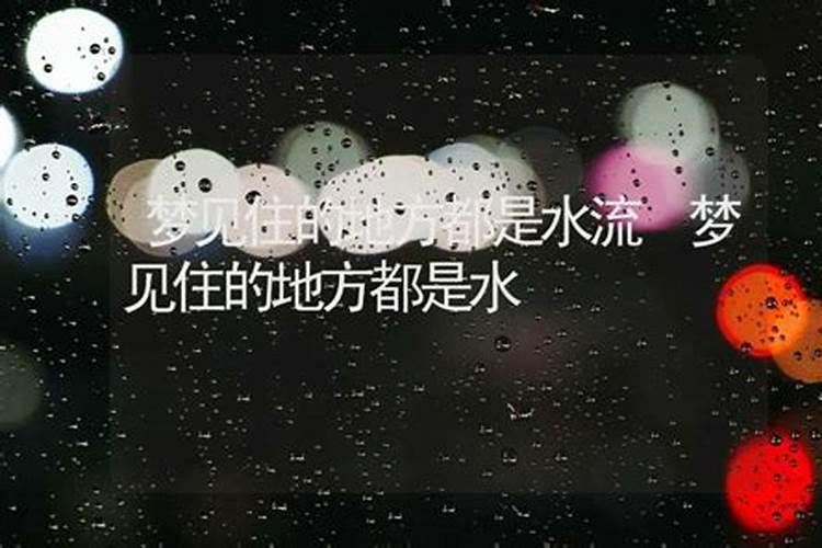 72年属鼠女2025年的运程和每月运势