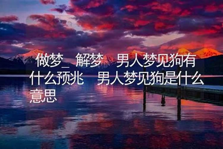 女人梦见狗是什么预兆