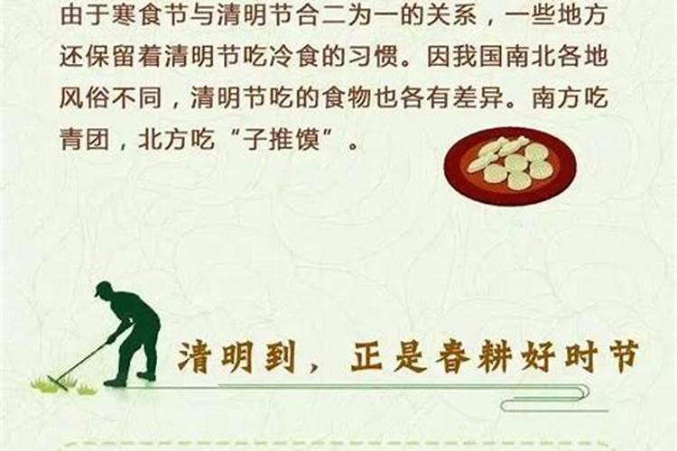 属马人2025年全年运势