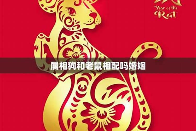 那些所谓的童子命是真的吗？如果是真的那么有什么用？