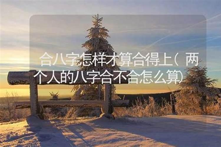 生肖属羊什么月,日,时出生最好