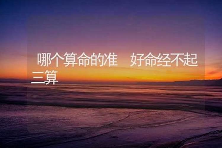 文疏的疏文种类