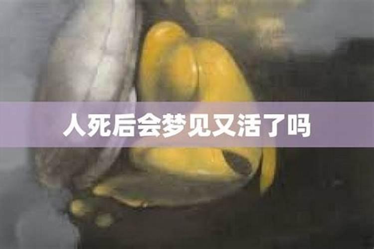 77年蛇男2025年运势完整版