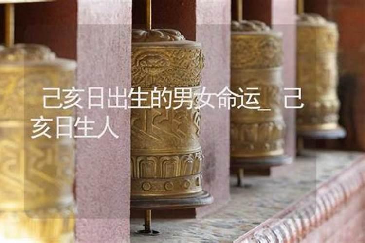己亥日柱全面解析,己亥日女命最忌讳什么