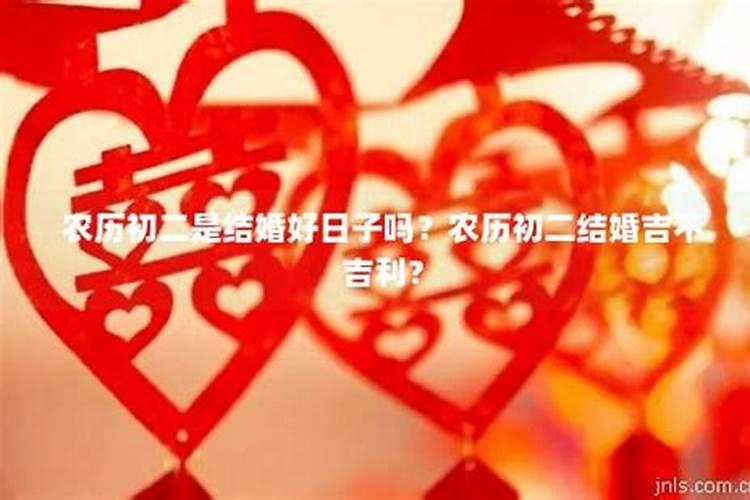 鼠年生人2025年运势及运程详解
