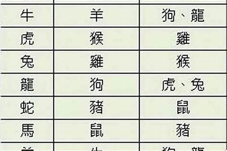76年属龙人2025年运势