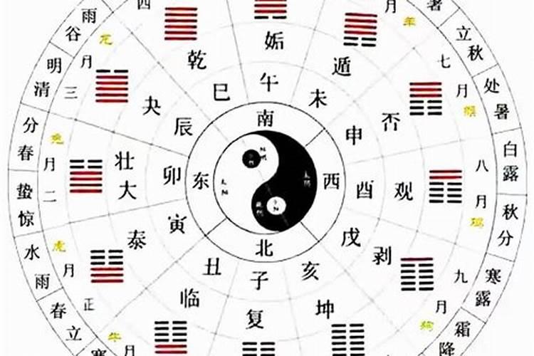 属狗人2025年全年运势运程免费 属狗2025年每月运势及运程详解