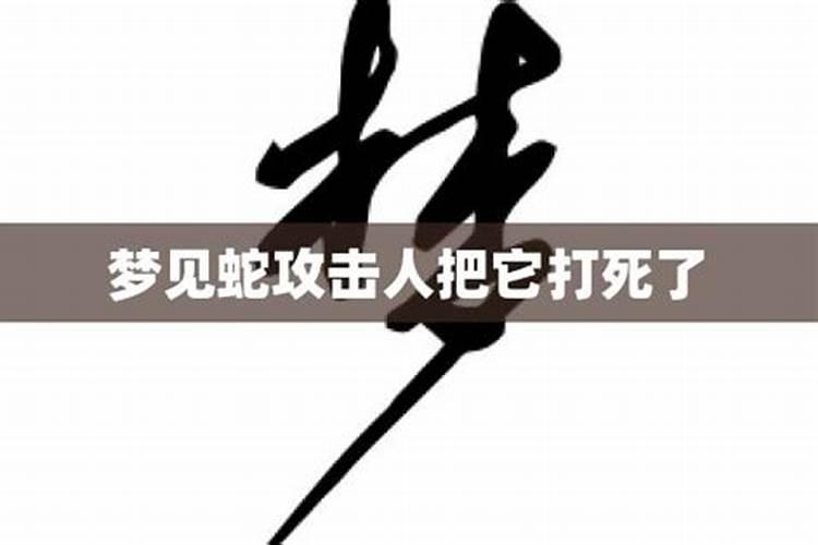 2025属狗人全年12个月运势