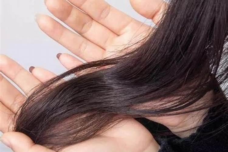 2025年属狗人的全年每月运势