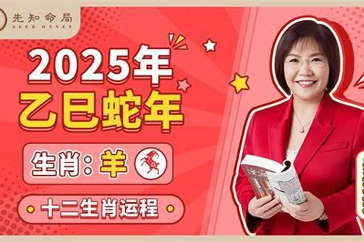 麦玲玲2024分析最旺生肖
