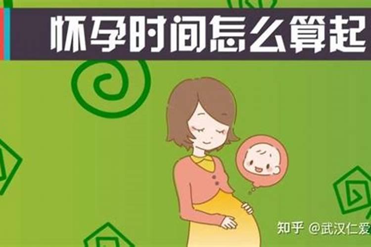 属蛇男十一月出生命运如何,1977年属蛇人46岁大难