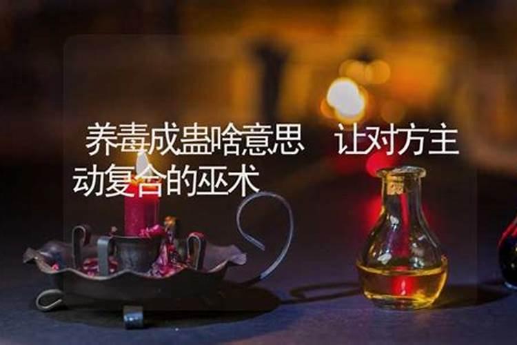 2025属猪人每月运势及运程如何