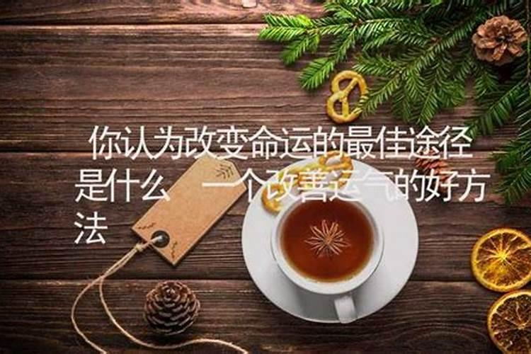 2025年龙人的全年运势