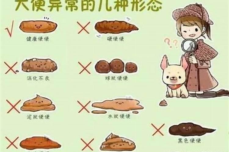 发际线可以自行恢复吗发际线后移的原因