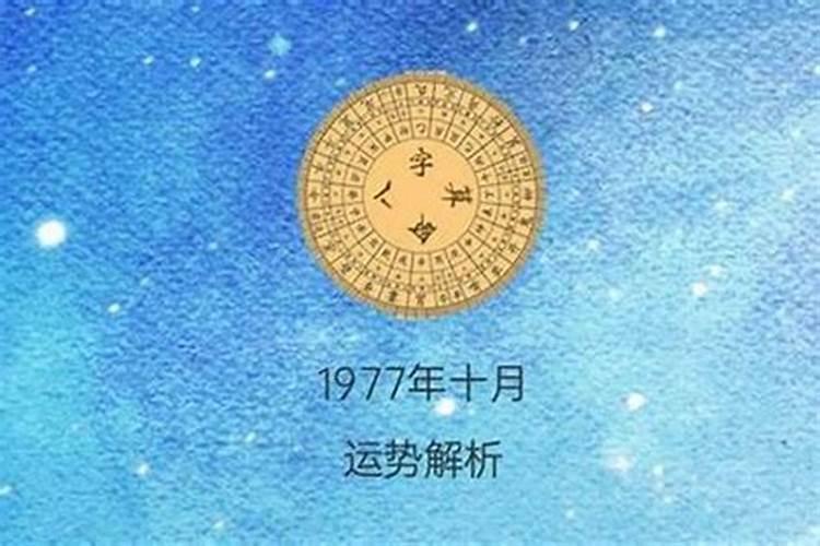 1977年属蛇的人2025年的运势及运程
