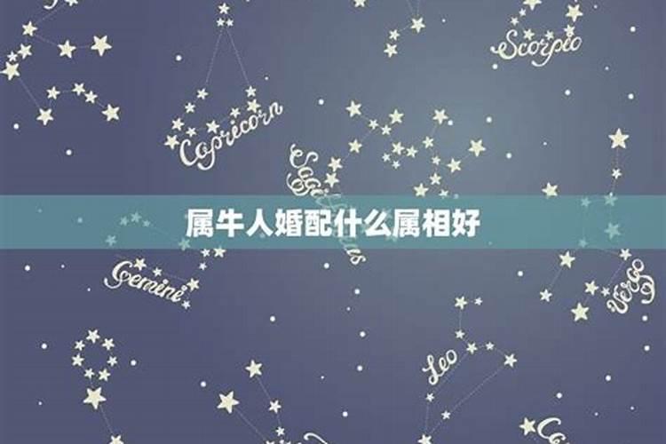 属牛和什么属相最配 属牛的合适什么样的另一半