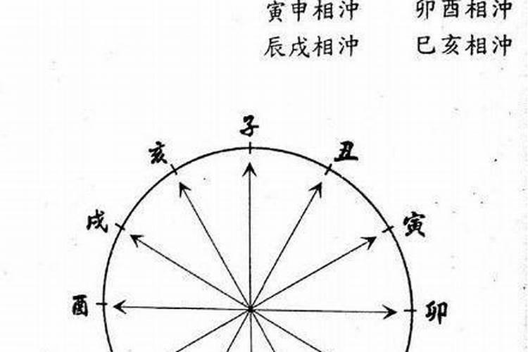 子午相冲会发生什么
