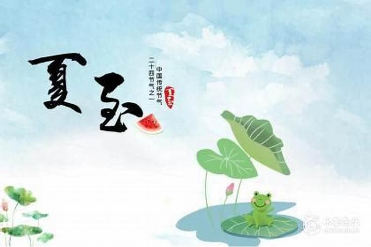 夏至出生的女孩 先苦后甜厚积薄发？
