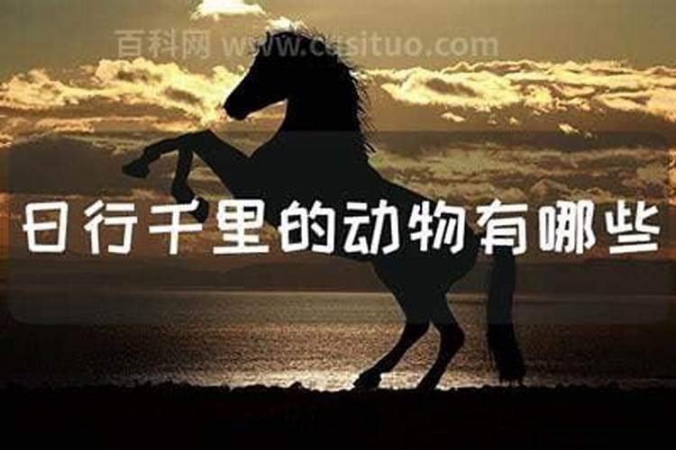 冬至换太岁还是立春换太岁