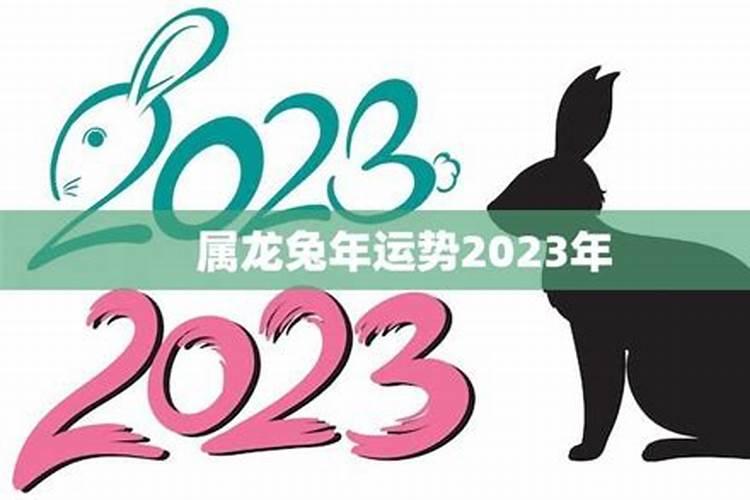 属兔人2025年综合运势