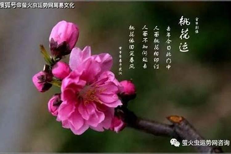 犯太岁佩戴什么化解？