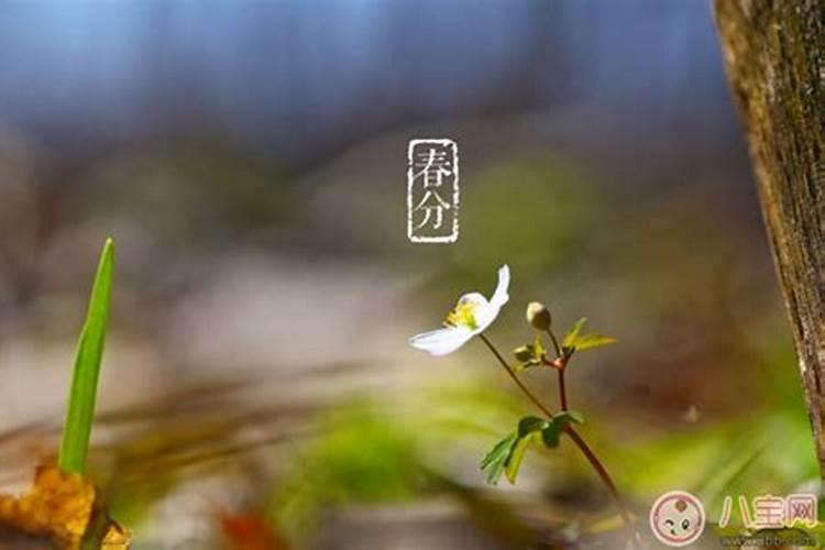 24节气的顺序？