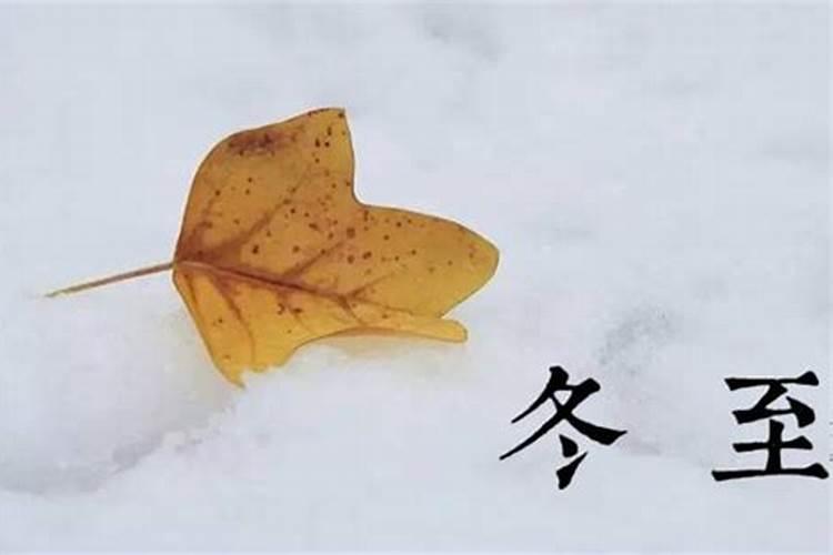 今年的春分、秋分、夏至、冬至、立春、立夏、立秋、立冬分别是几号？