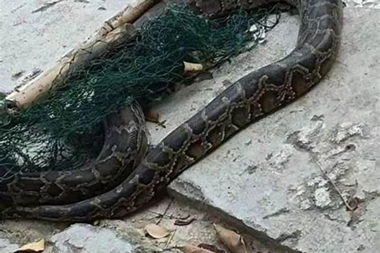 打算去东台观音禅寺为堕胎婴灵超度,大概是什么样的流程？