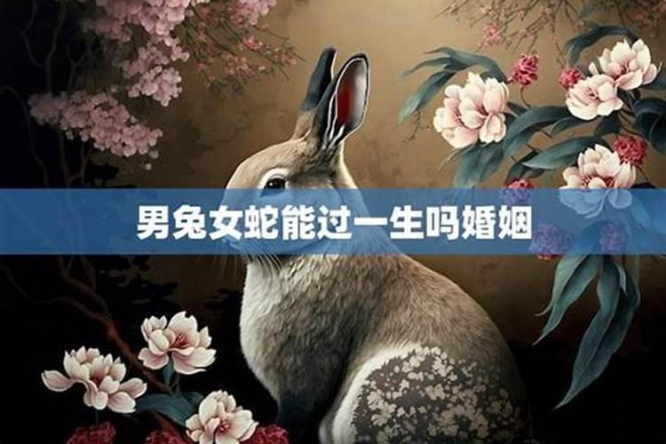 八字中天干用神被合伴住如何化解