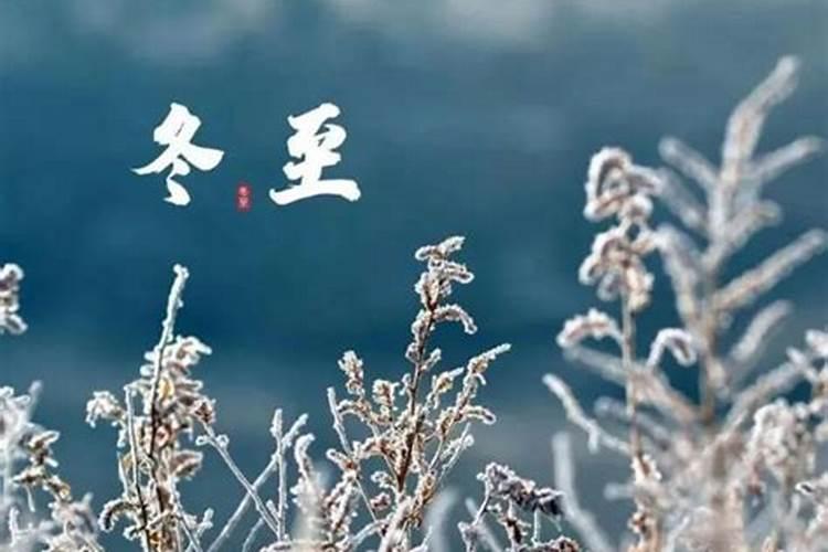 霜降是几月几号