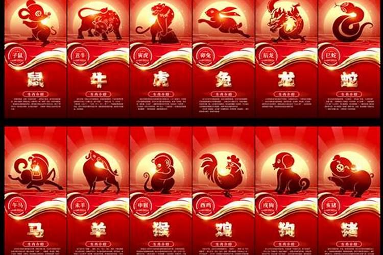 怎么查自己的五行