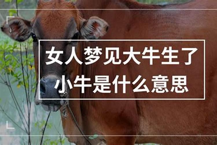 什么是伤官伤尽