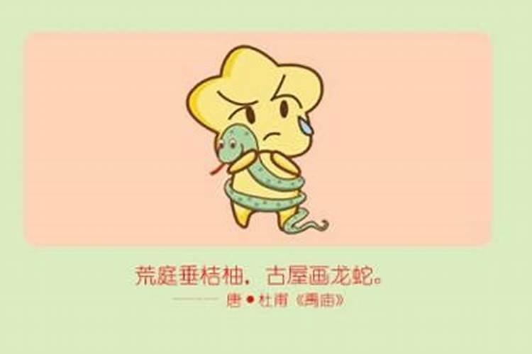 马蹄金烧纸的用途