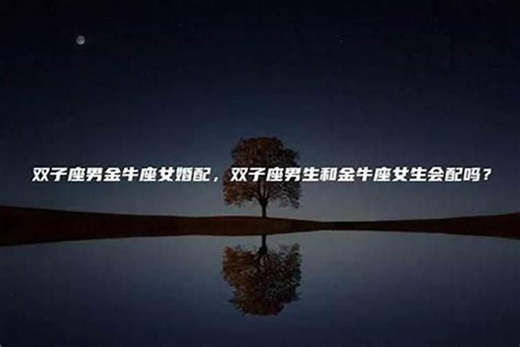 88年龙女2025年的运势