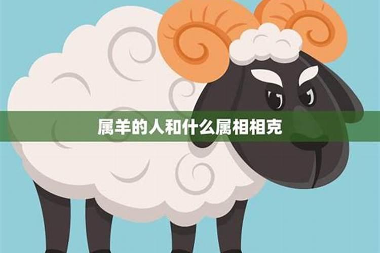属牛属羊千万不能在一起 合不合？