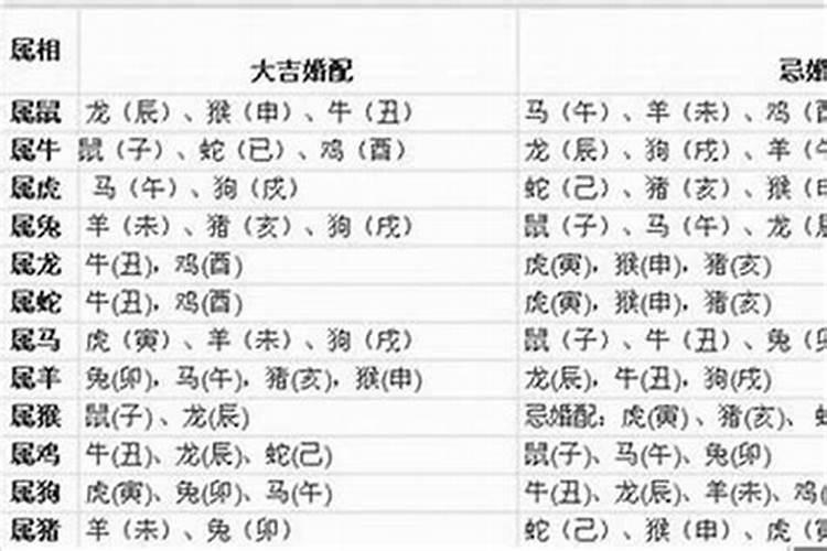 十二生肖属相犯太岁的年份,鼠年犯太岁的四个属相