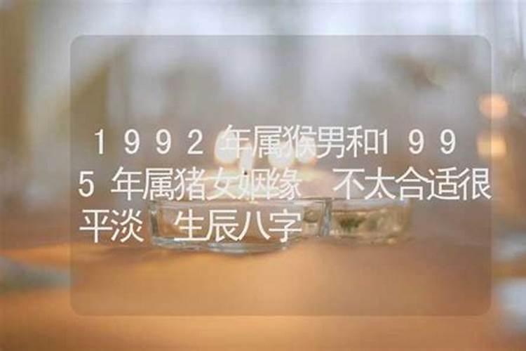 1995年属猪男2025年运势