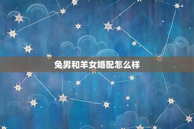 男属兔和女属羊合不合？