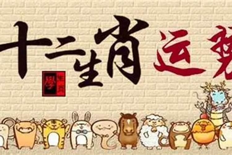 91年属羊人2023年运势及运程 91年属羊人一生的运势