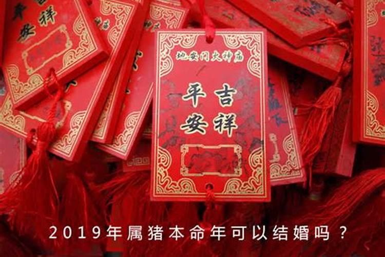 1985属牛人2024年全年运势详解