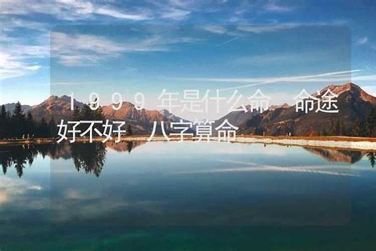 家乡的风俗端午节作文