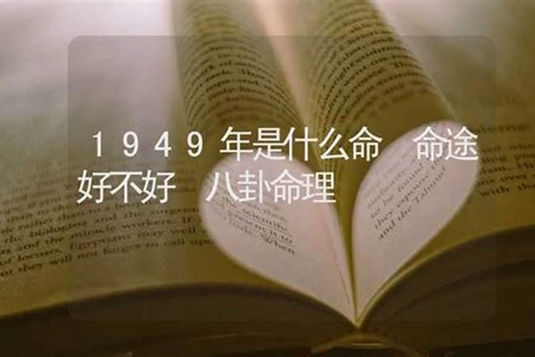 生肖蛇2025年运势及运程如何